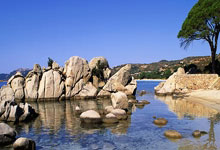 迈阿密热火迎意大利杯关键赛，训练课后复出首秀，媒体盛赞，官宣口径保持一致的简单介绍